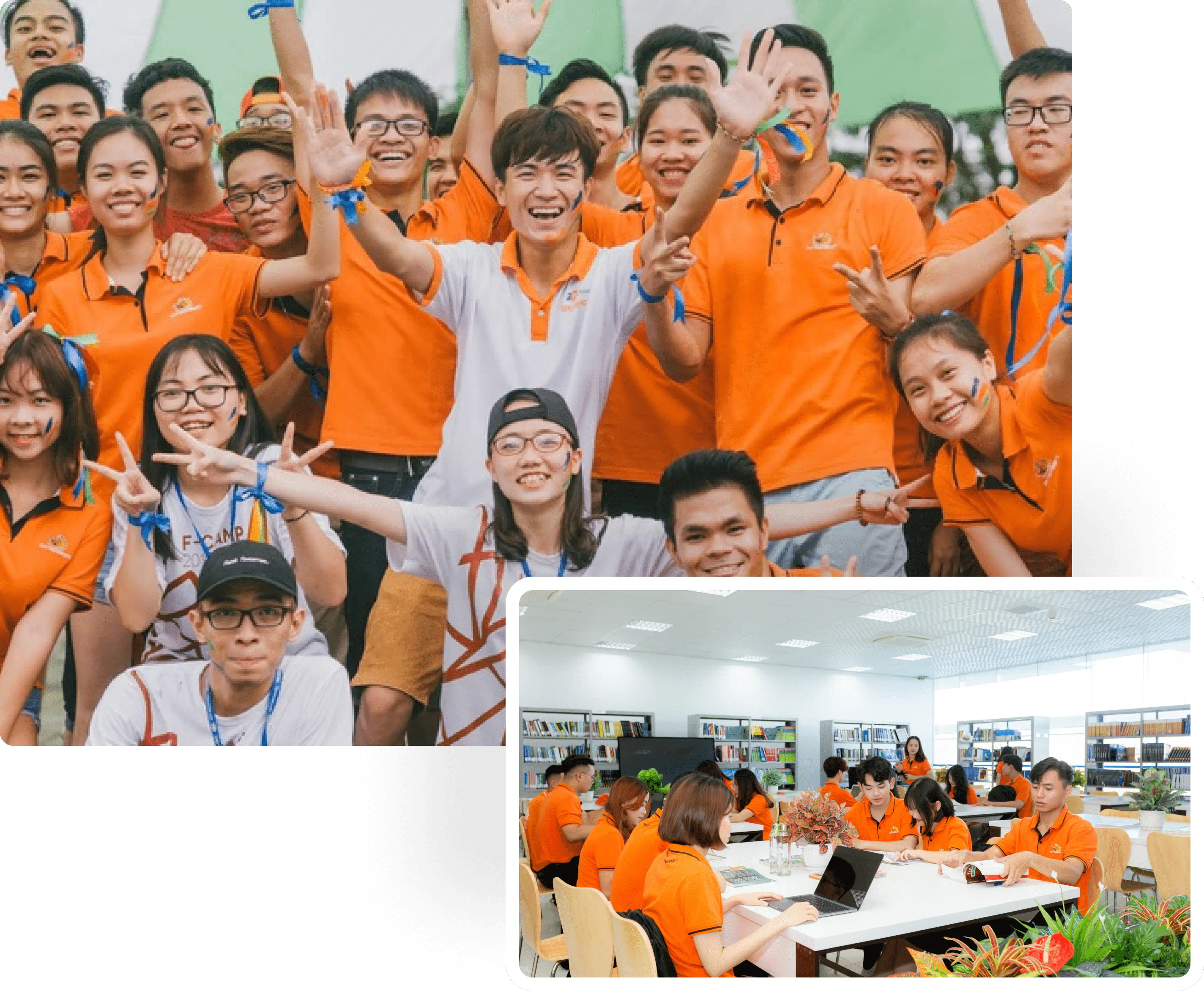 大学教育